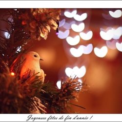 joyeuses fetes joyeuses fêtes - changeons