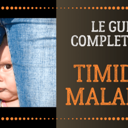 timidite maladive le guide complet timide maladif