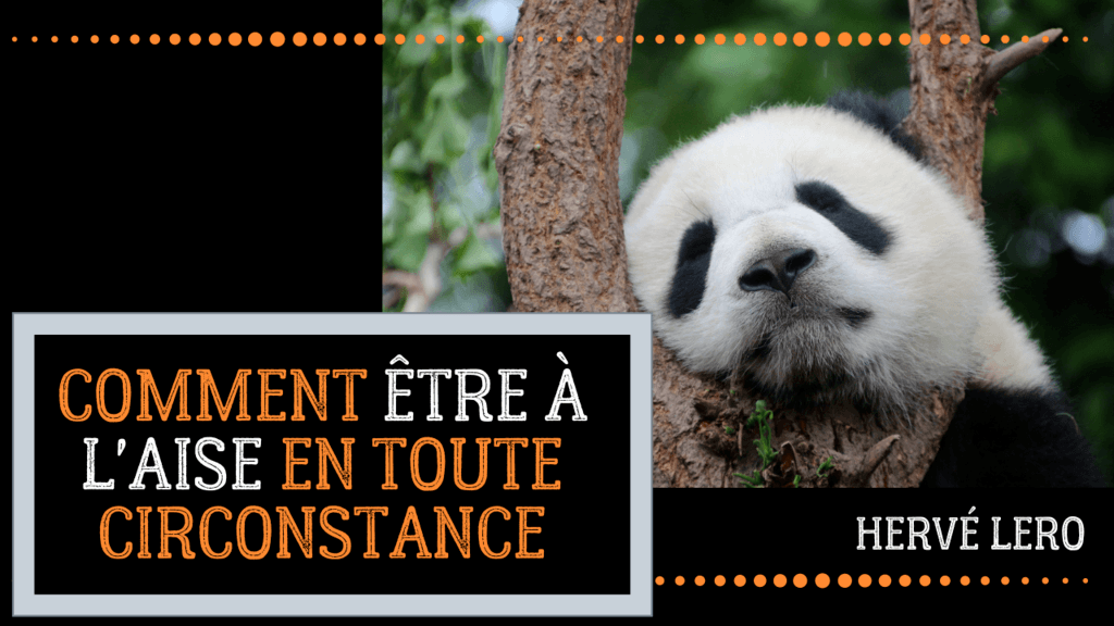 à l'aise panda panda à l'aise Hervé Lero